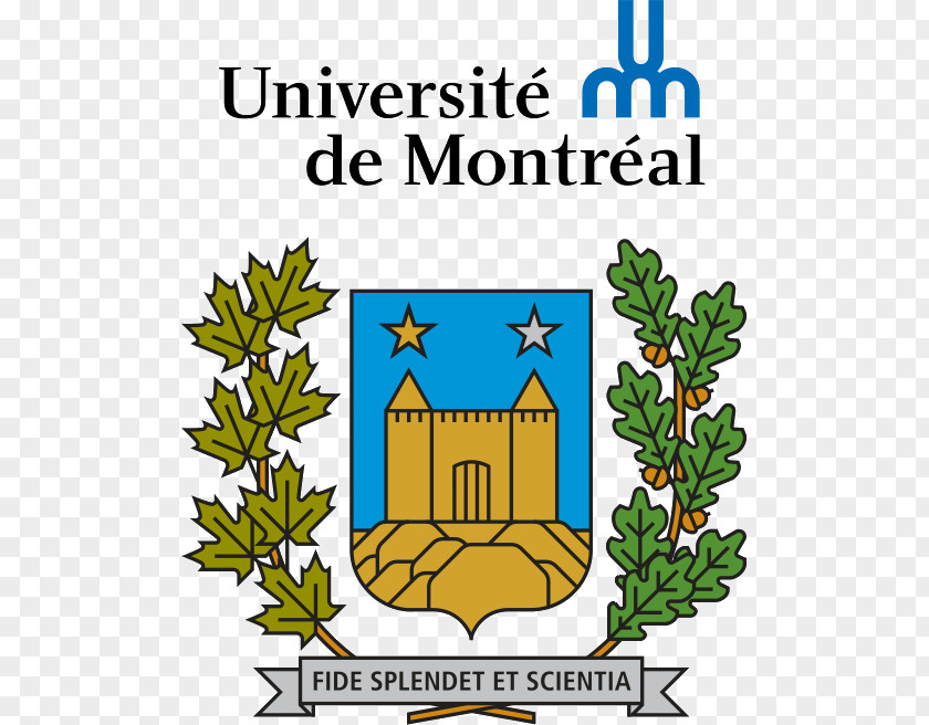 School Université De Montréal Faculty Of Medicine École Bibliothéconomie Et Des Sciences L'information University PNG