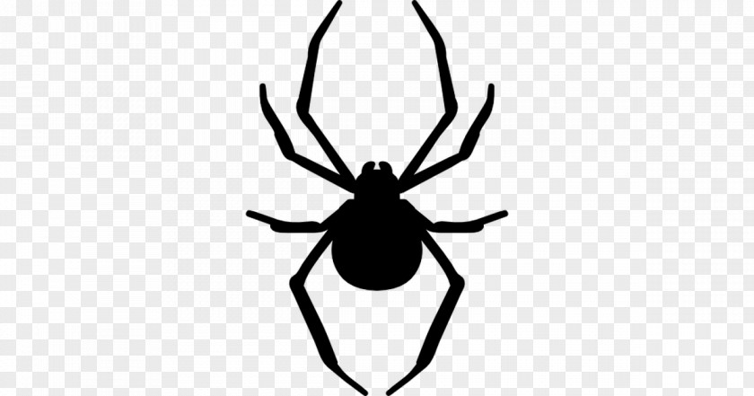 Spider Web Stencil Silhouette PNG