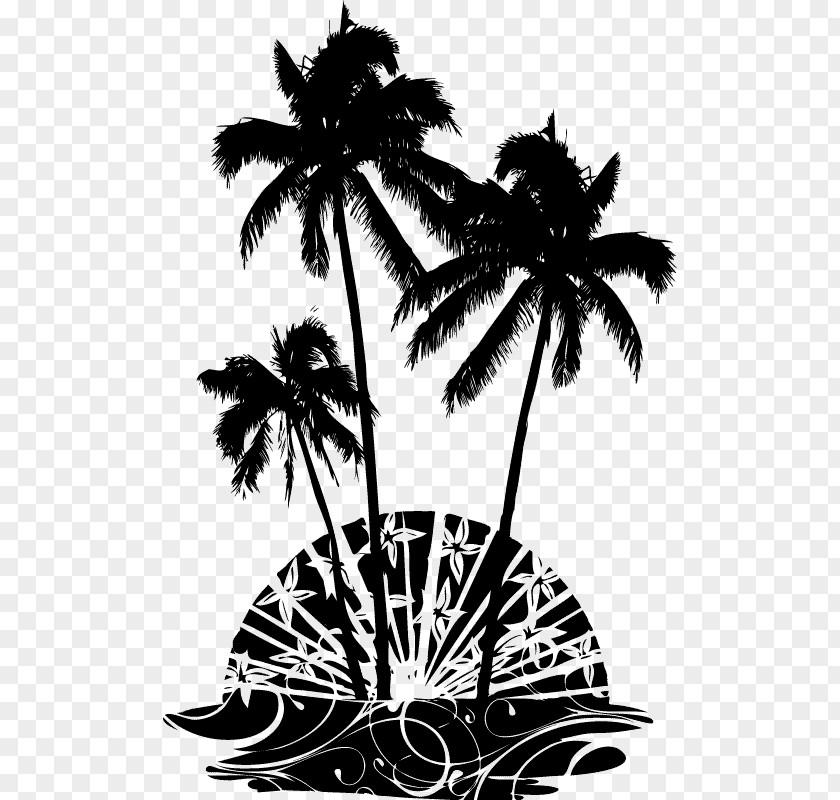 Tree Asian Palmyra Palm Arecaceae Wall Decal Coconut PNG