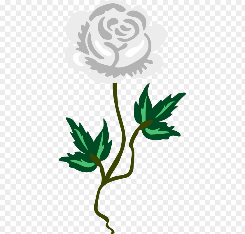 White Rose Graphic Fairy Floral Design Garden Roses Flower Tulip PNG