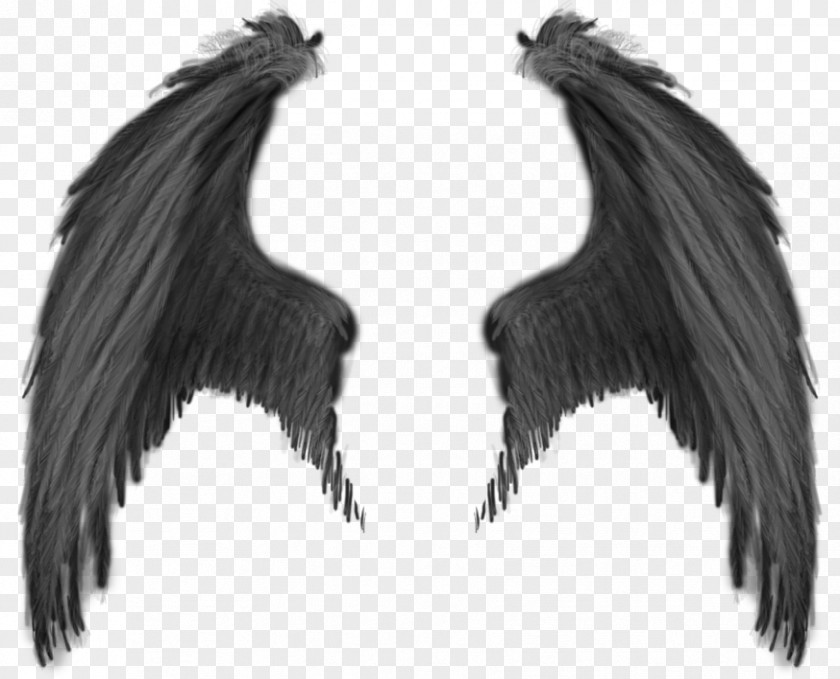 Wing Demon Angel Devil PNG