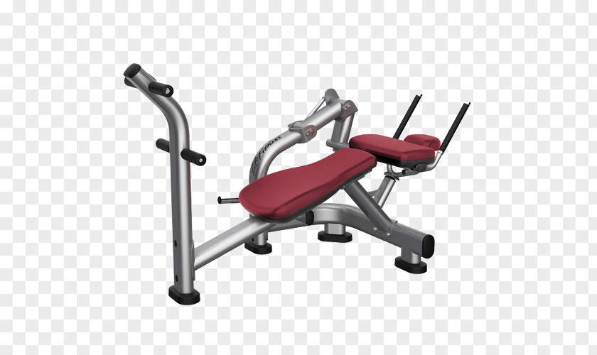 Dumbbell Bench Crunch Exercise Equipment Fitness Centre PNG