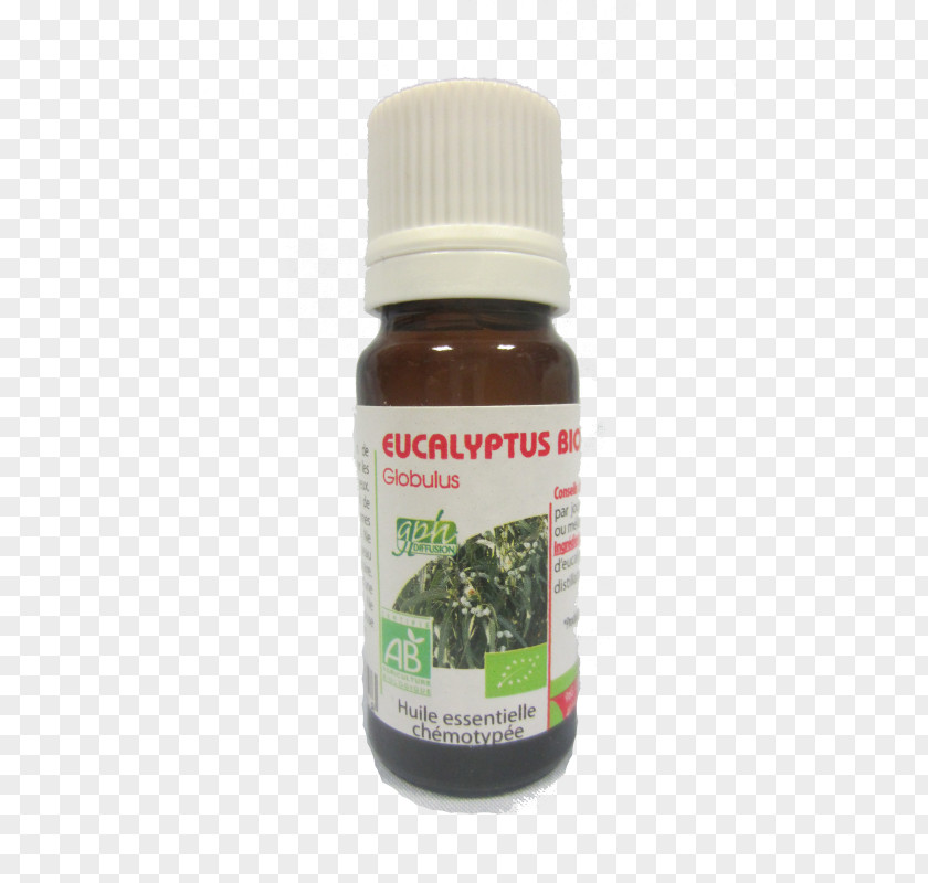 Eucalyptus Globulus Radiata Oil Essential Breathing PNG