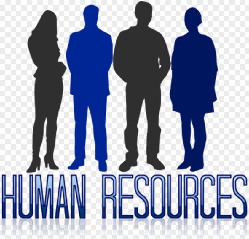 Human Resource Management Resources Business Performance PNG