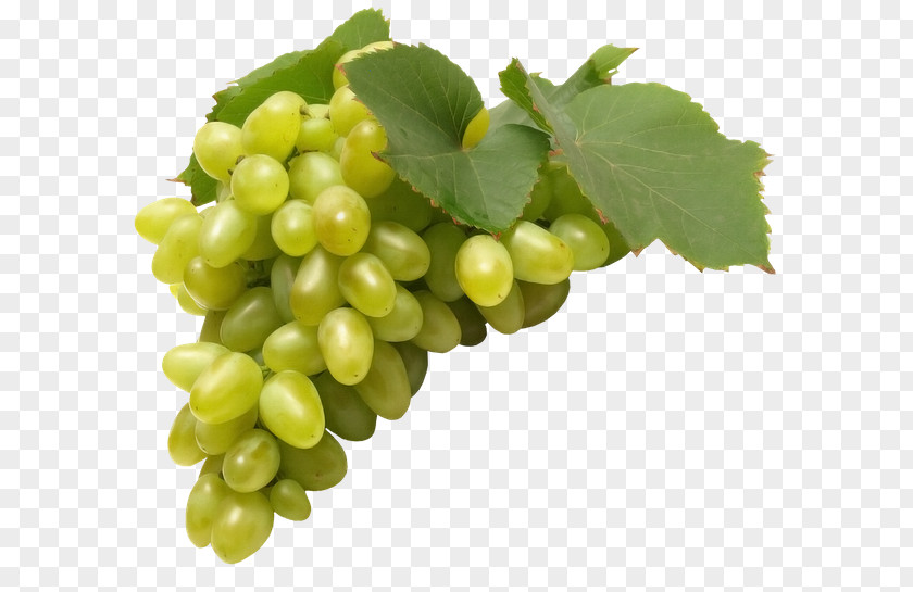 Juice Common Grape Vine Fruit Must PNG