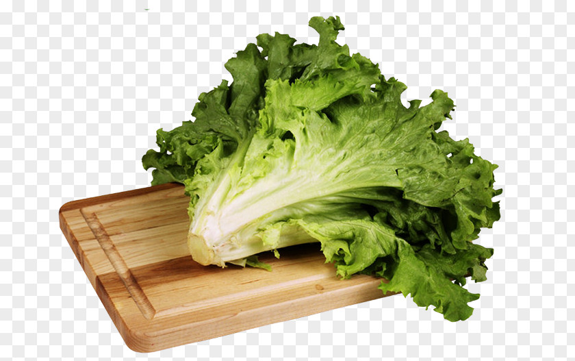 Lettuce Leaf Vegetable Nutrient Food PNG