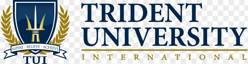 Student Trident University Bachelor's Degree Academic PNG