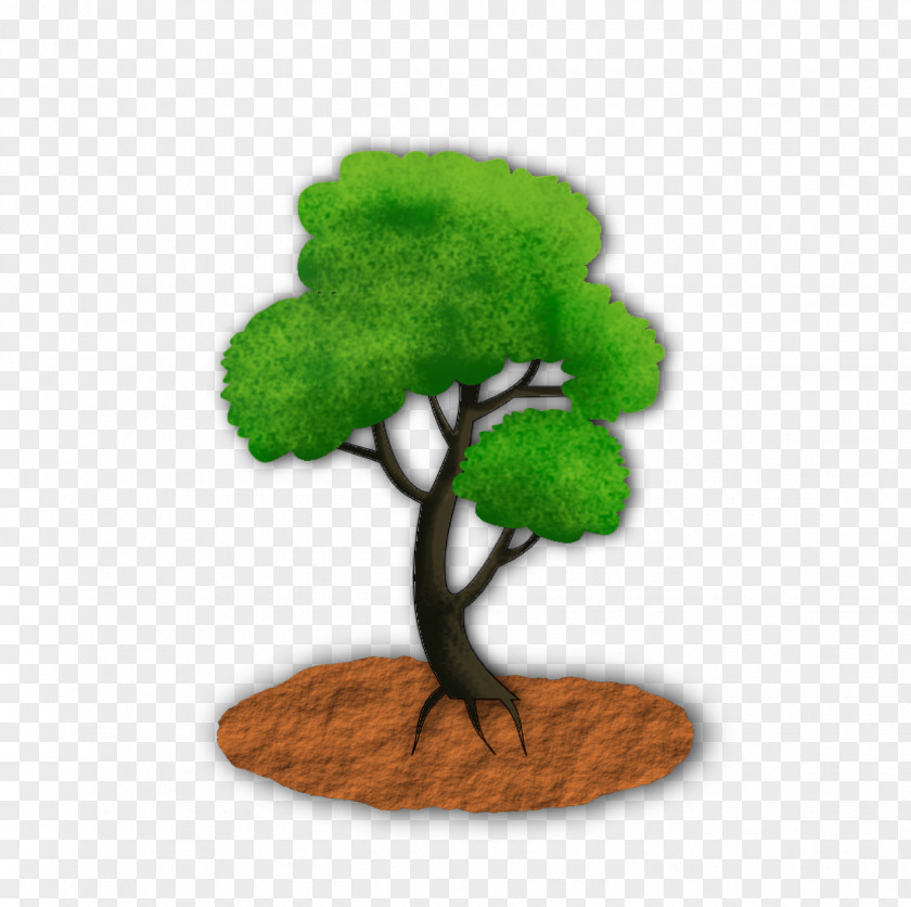 Tree PNG