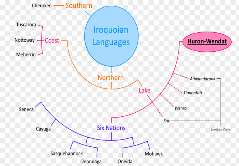 Various Languages Iroquoian Wyandot People Language Iroquois Family Tree PNG