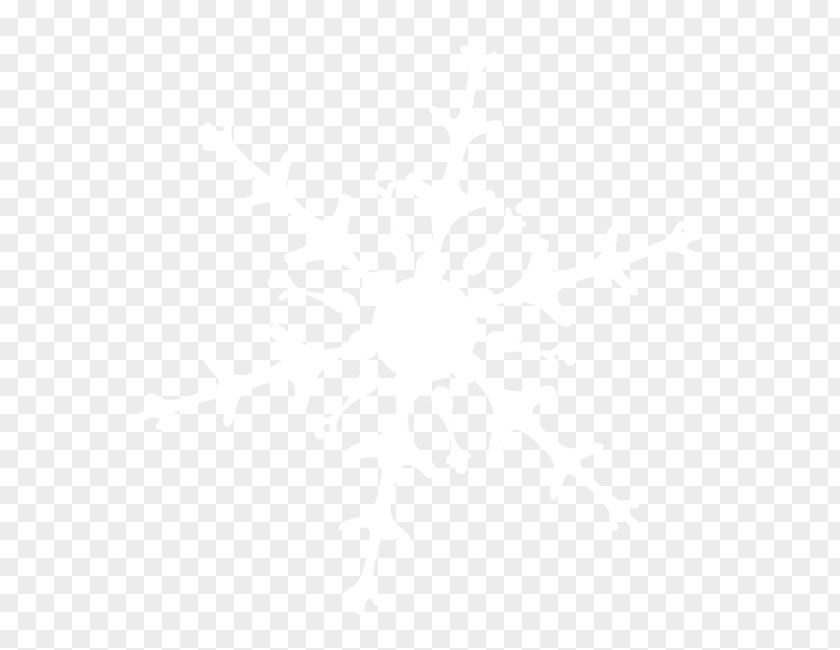 Ice Snowflakes Drift Stars Snowflake Icon PNG