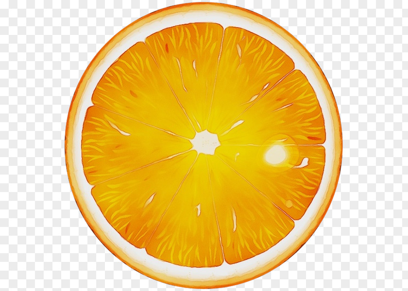 Lime Tangerine Lemon Cartoon PNG
