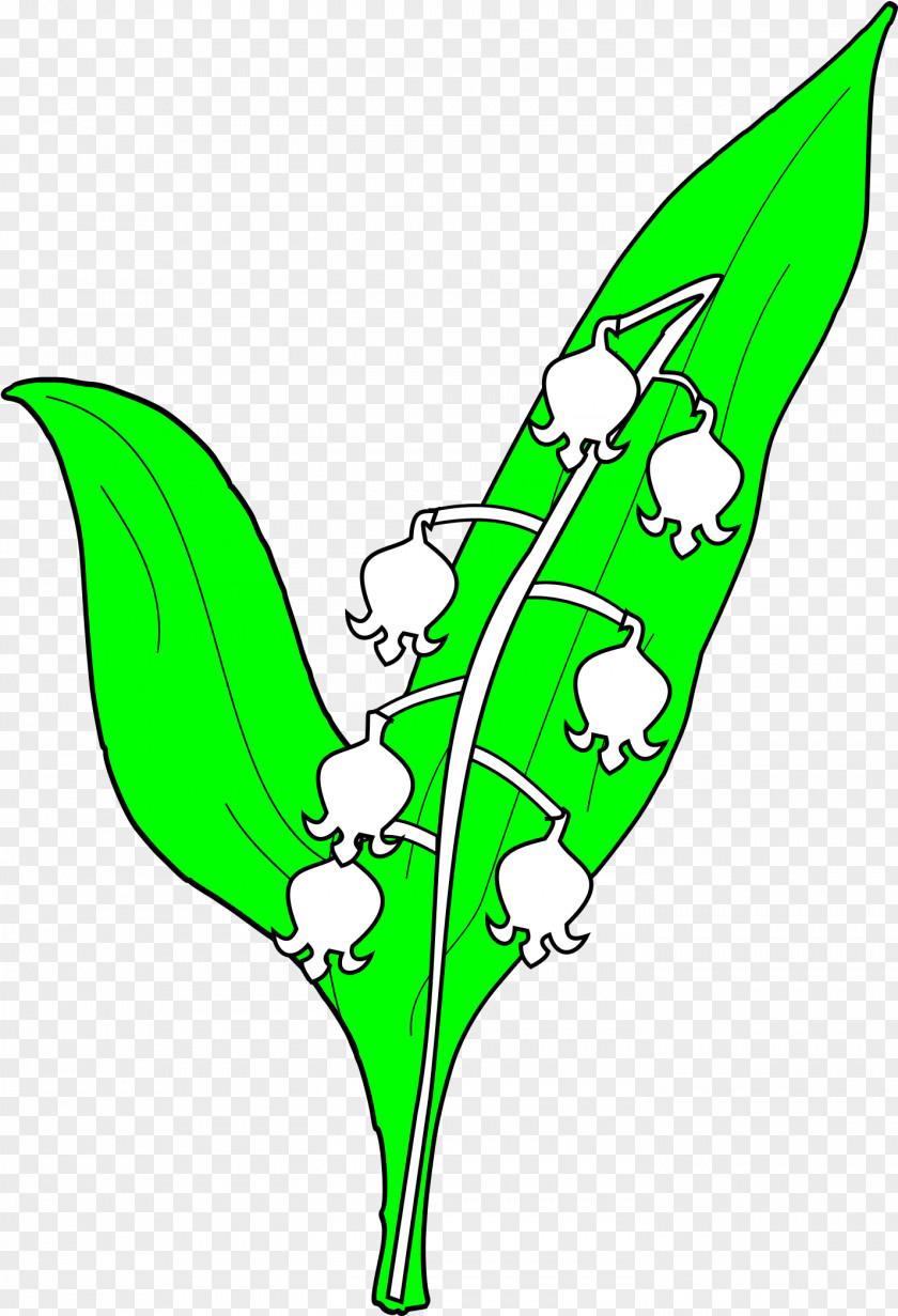 Plant Leaf Flowers Background PNG