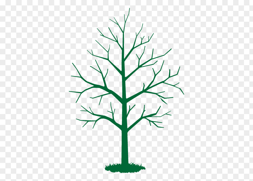 Twig Leaf Vector Graphics Tree Stock Photography PNG