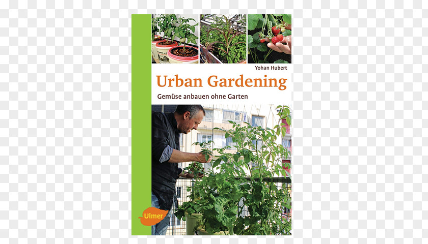Urban Garden Gartenfachbetrieb Bräuninger Gardening: Gemüse Anbauen Ohne Garten Cultiver Ses Légumes Hors-sol: Guide Pratique Du Potager Productif En Ville PNG