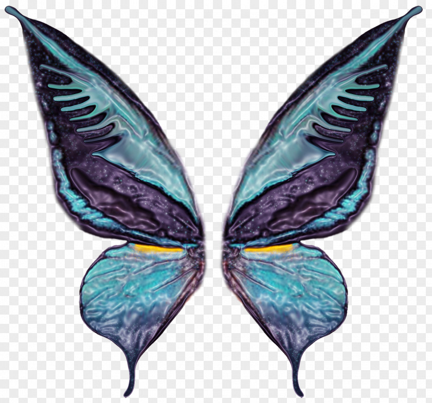 Wings Butterfly Photography Wing PNG