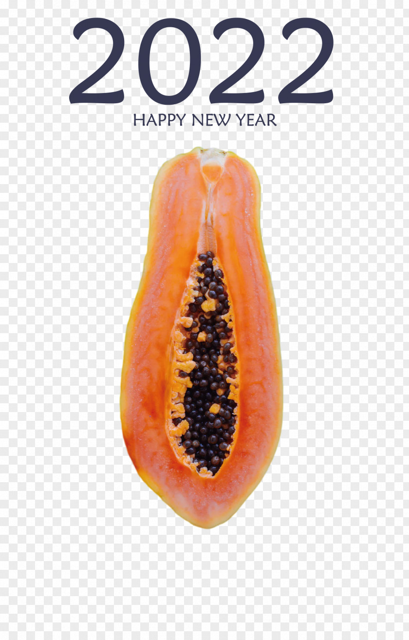 2022 Happy New Year PNG