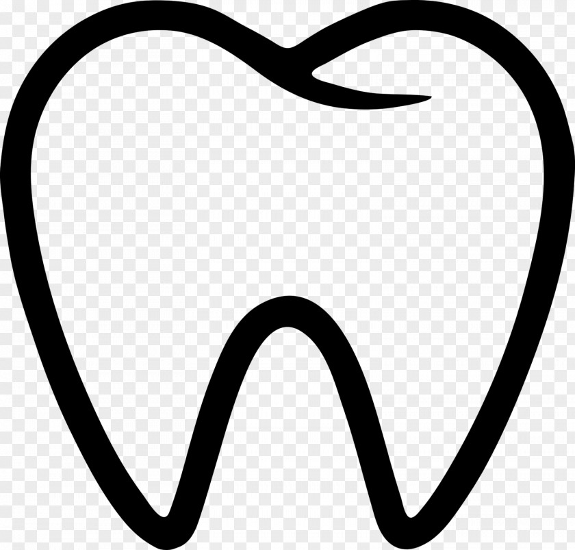 3.8 Dentistry Tooth Medicine PNG