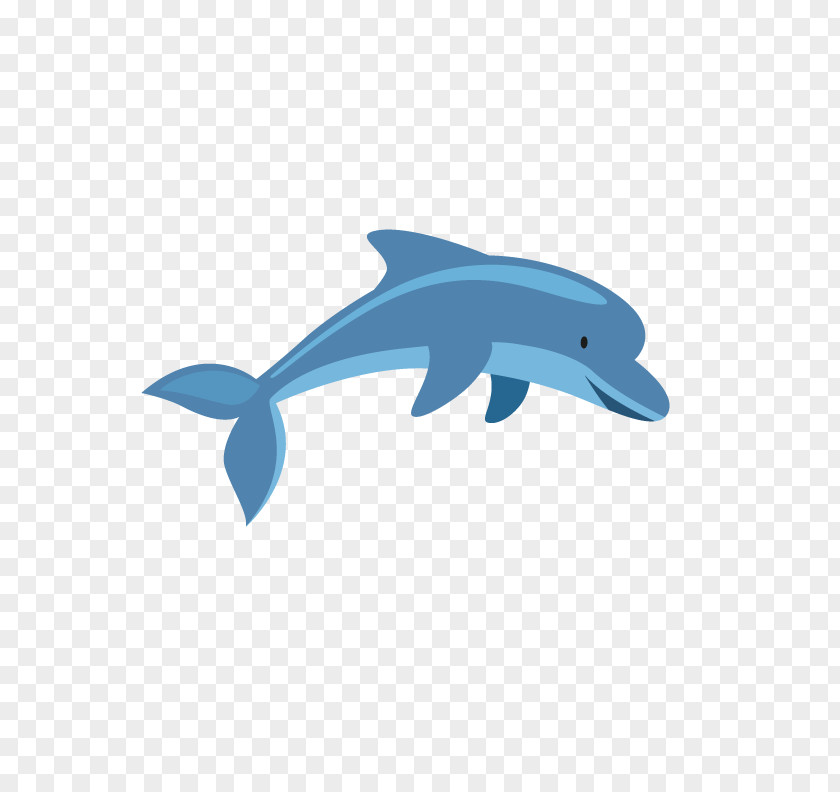 Cute Dolphin Common Bottlenose Tucuxi PNG