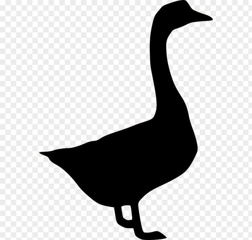 Goose Clip Art Transparency PNG