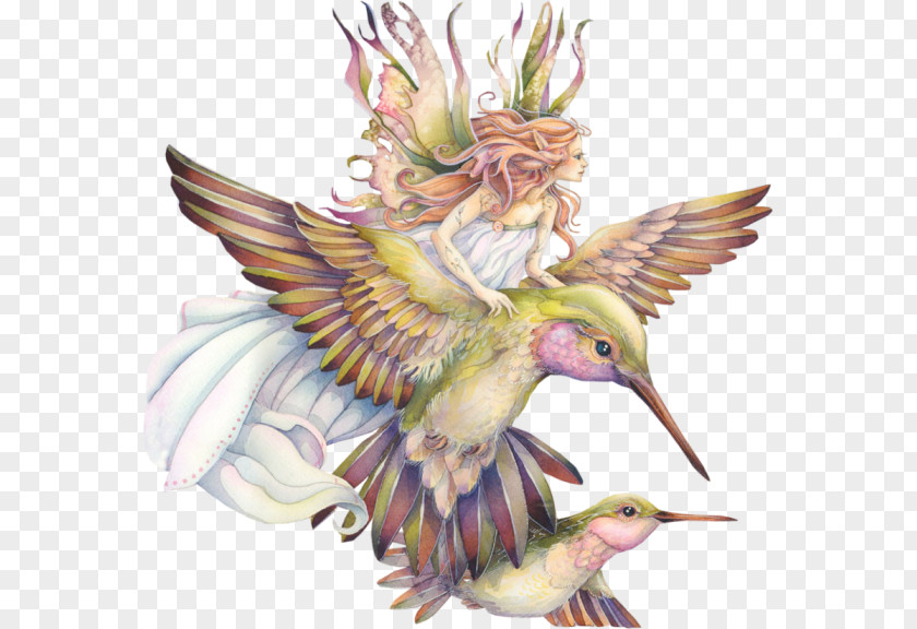 Hummingbird Tinker Bell Art Watercolor Painting PNG