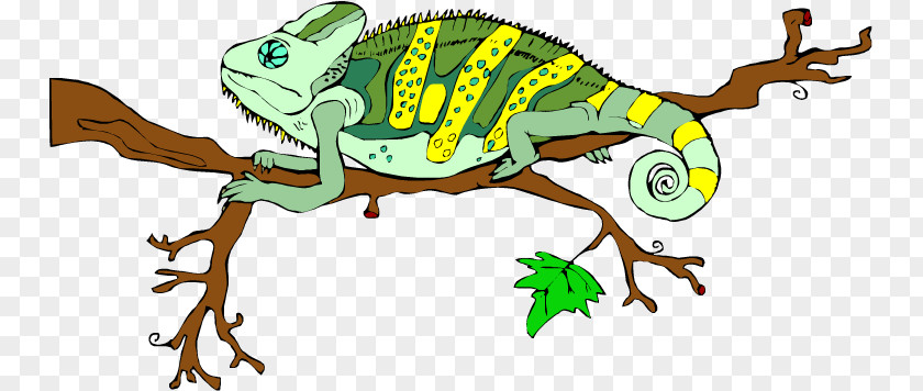 Lizard Chameleons Common Iguanas Clip Art PNG
