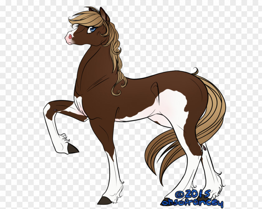 Mustang Foal Stallion Colt Halter PNG