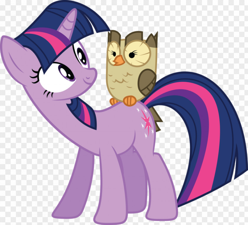 My Little Pony Twilight Sparkle Rarity Pinkie Pie The Saga PNG