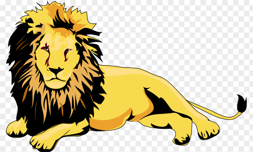 African Lion Cliparts Cougar Clip Art PNG