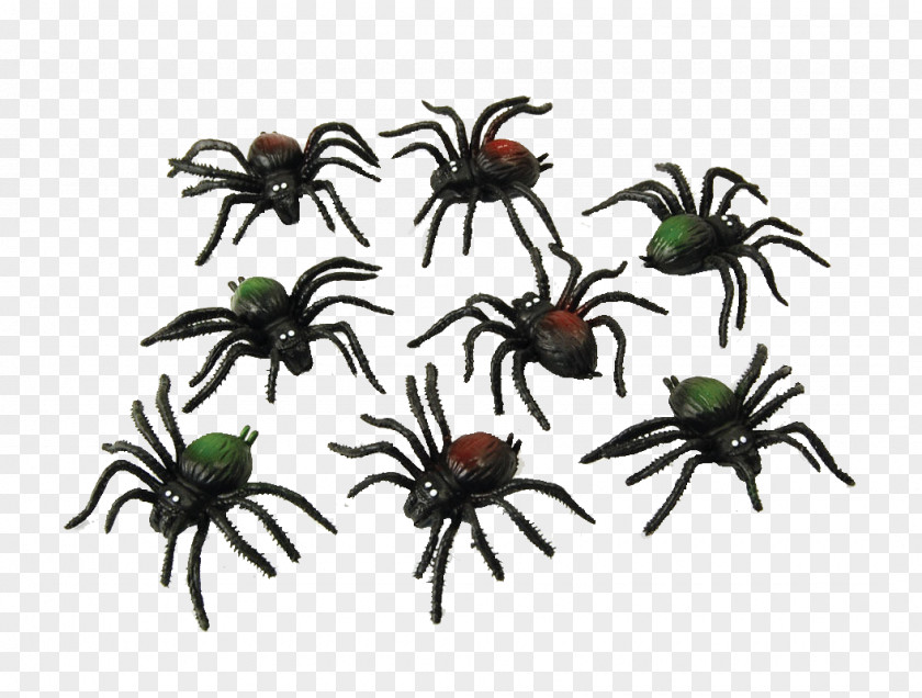Ants Spider Web Costume Party Halloween PNG