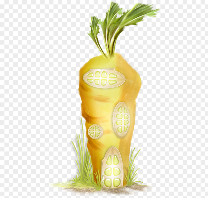 There Are Teeth Marks On Radish Download Dentistry Google Images PNG