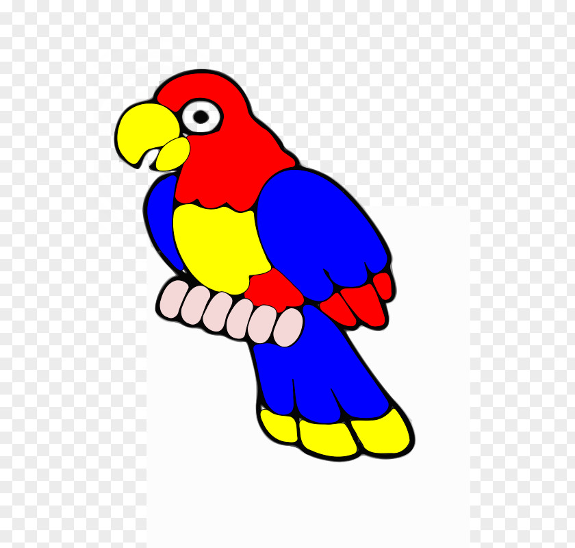 Amazon Parrot Clip Art Budgerigar Image PNG