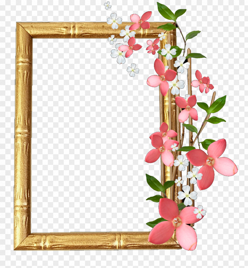 Cute Frame Picture Frames Digital Photography PNG