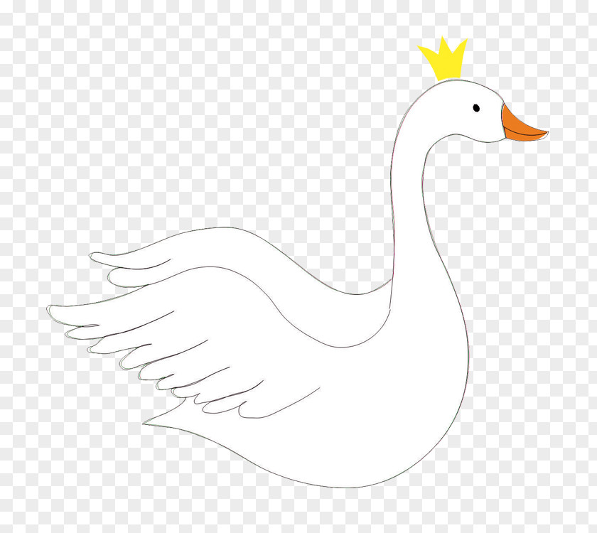 Duck Goose Chicken Cygnini Feather PNG