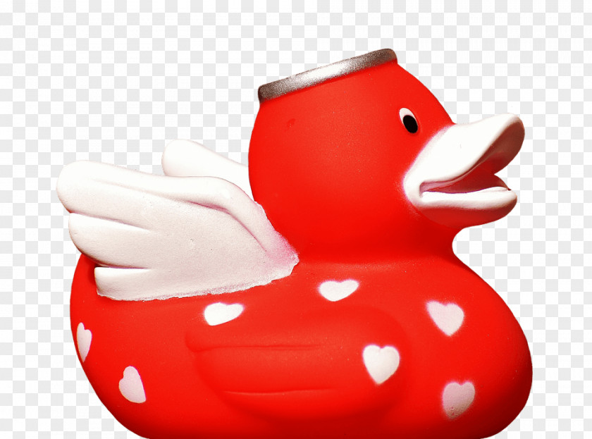 Duck Rubber Natural PNG