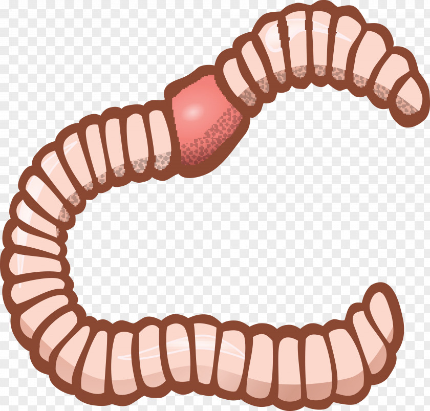 Earthworm Clip Art PNG