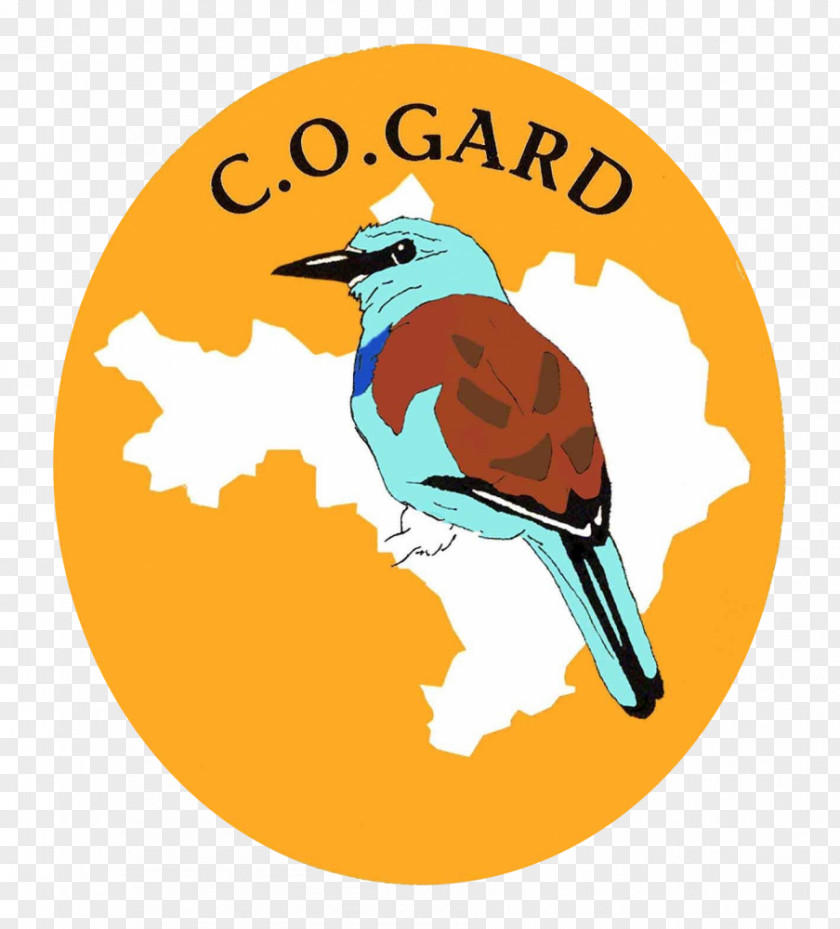 Gorges De La Jonte COGard Fauna Groupe Ornithologique Du Roussillon Voluntary Association Natural Environment PNG