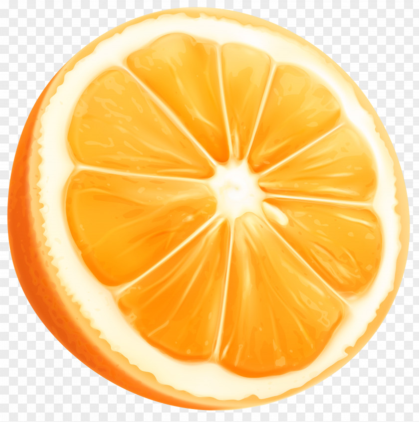 Orange Slice Clip Art Image PNG