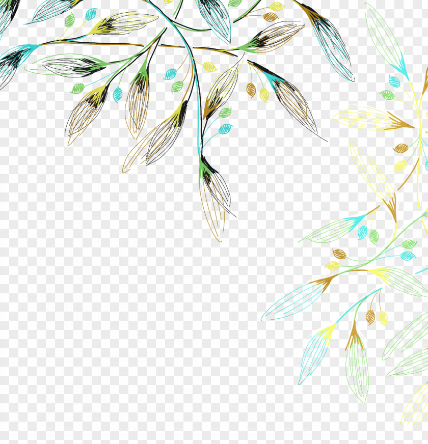 Pedicel Plant Watercolor Flower Background PNG