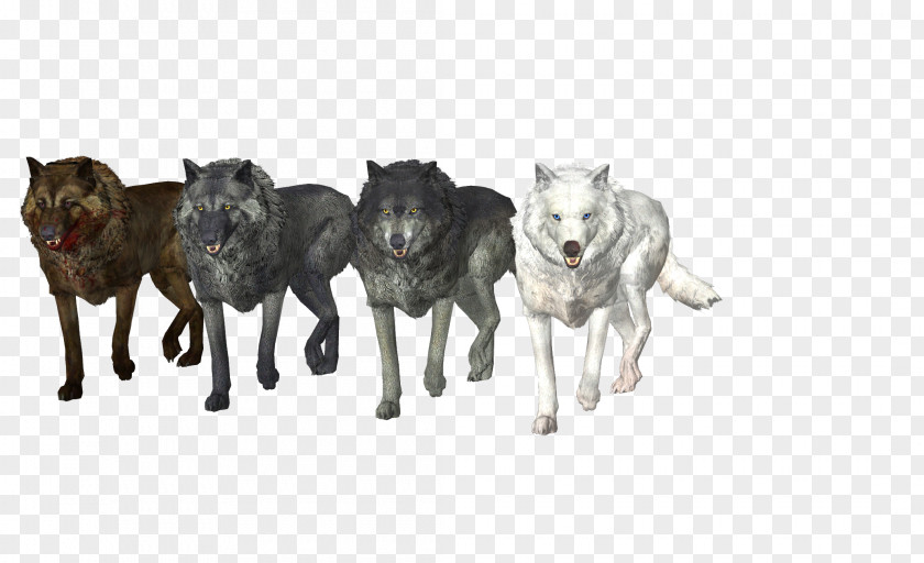 Wolf Dog Drawing Pack Moose PNG