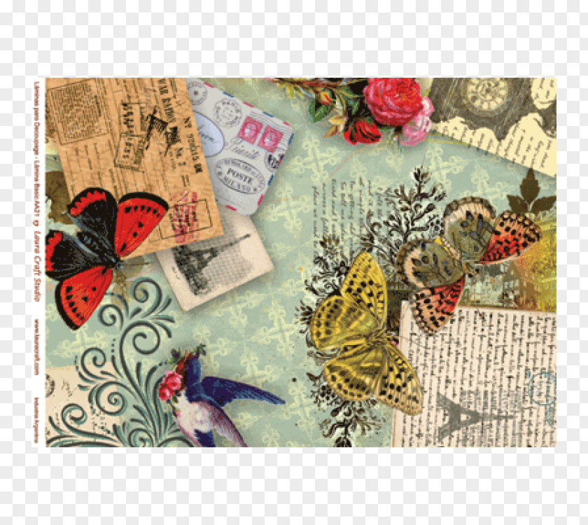 Collage Retro Style Art Flora Fauna PNG