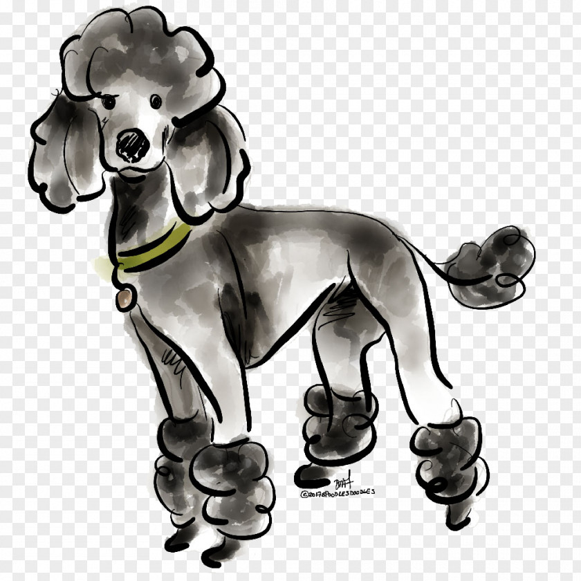Puppy Dog Breed Standard Poodle Cockapoo PNG