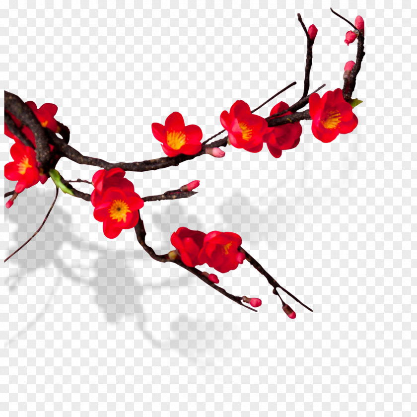 Red Plum Chinese New Year Blossom PNG