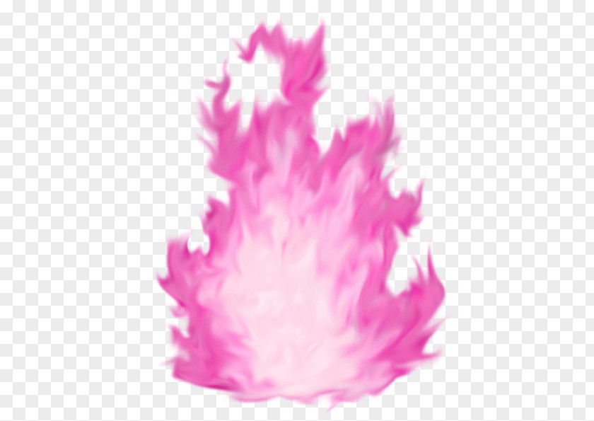 Fire Pink Flame PNG