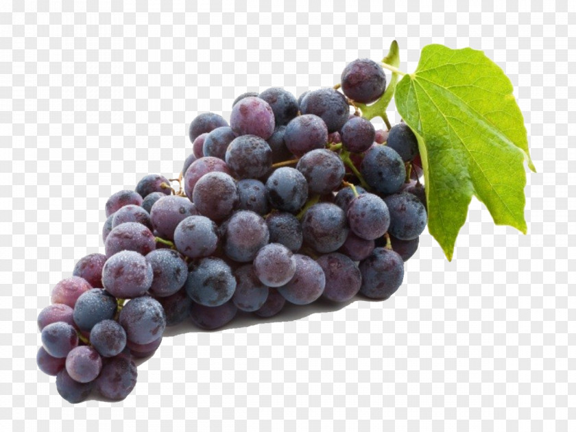 Juice Concord Grape Common Vine Wine PNG