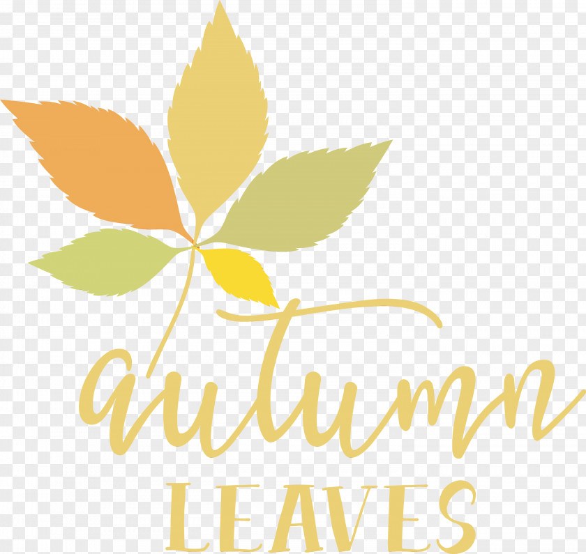 Leaf Logo Font Line Tree PNG