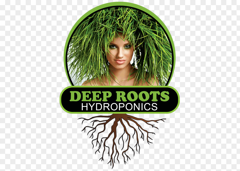 Organic Hydroponic Farming Deep Roots Hydroponics Sebastopol Retail PNG