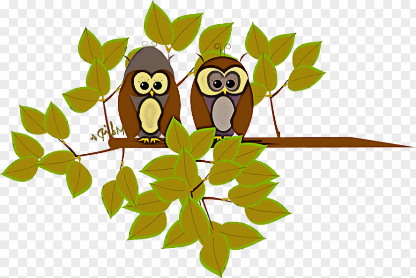 Owl Branch Leaf Bird Cartoon PNG