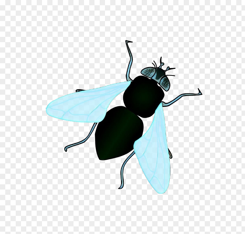 Wing Black Fly Bee Cartoon PNG