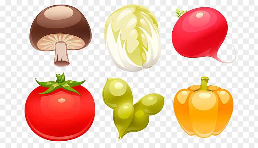 Cartoon Vegetable Material Hot Pot Ramen Zu014dni Mushroom PNG