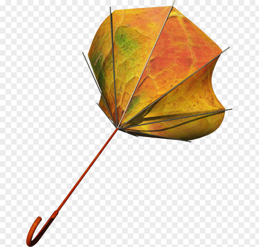 Hand-painted Umbrellas Umbrella Icon PNG